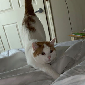 Meet your Posher, Kamilah